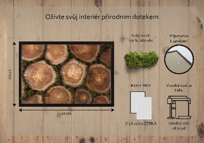 Machový obraz Kmeňový prierez