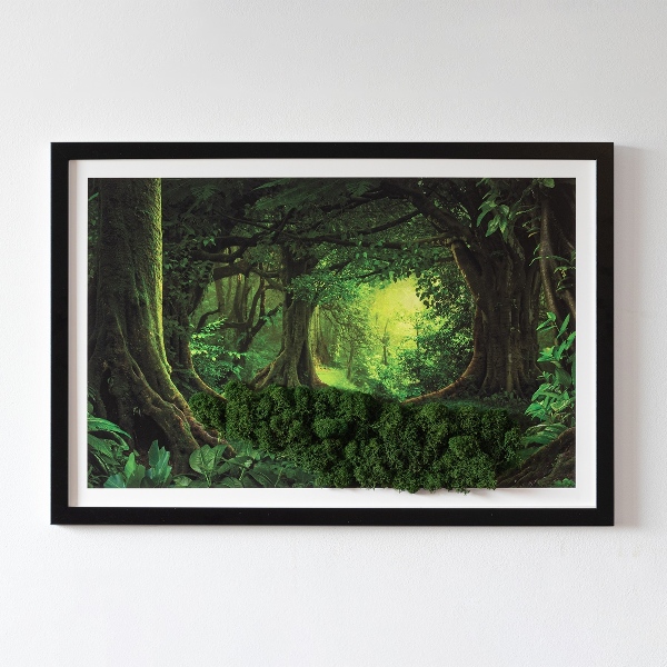 Machový obraz Tropická džungľa