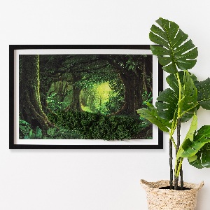 Machový obraz Tropická džungľa