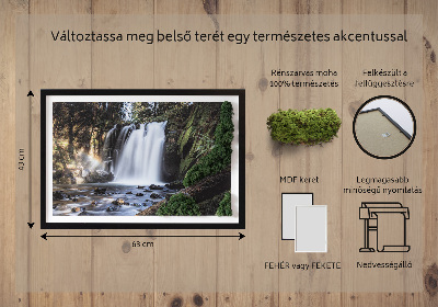Machový obraz na stenu Vodopád obklopený stromami