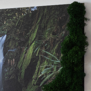 Machový obraz na stenu Vodopád obklopený stromami