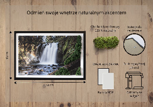 Machový obraz na stenu Vodopád obklopený stromami