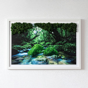 Machový obraz na stenu Rieka uprostred lesa