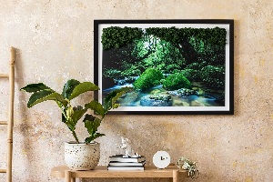 Machový obraz na stenu Rieka uprostred lesa