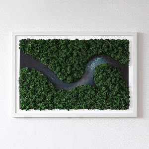 Machový obraz Rieka v lese