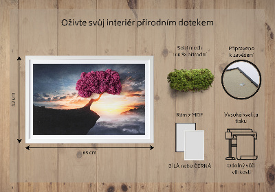 Machový obraz Strom nad priepasťou