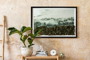 Machový obraz Lesy v hmle