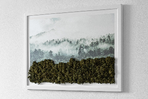 Machový obraz Lesy v hmle