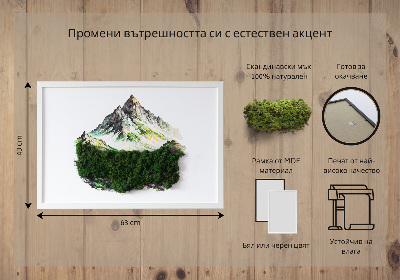 Obraz s machom Vrchol hory nad lesom