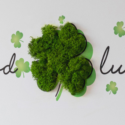 Machový obraz Nápis Good Luck Clover