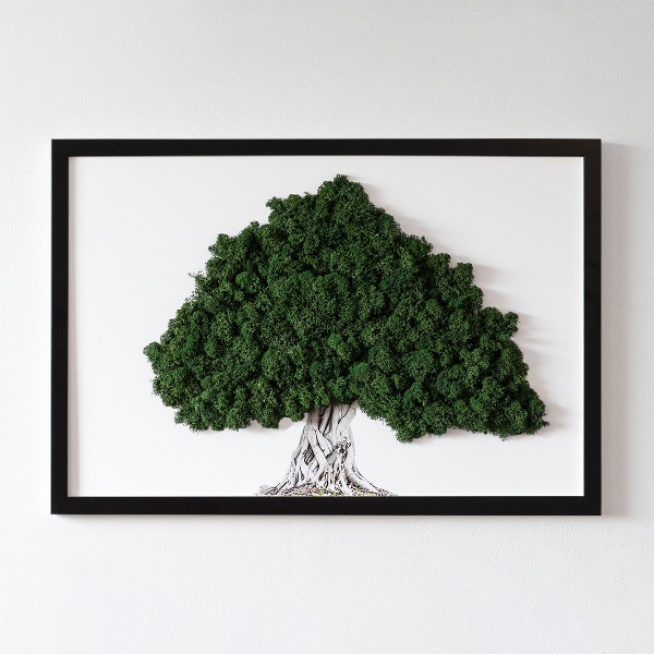 Machový obraz Strom s koreňmi na bielom pozadí