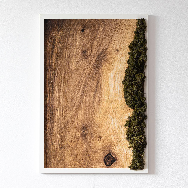 Machový obraz Prírodný dub