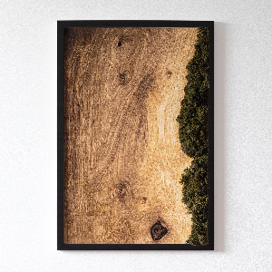 Machový obraz Prírodný dub