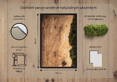 Machový obraz Prírodný dub