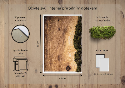 Machový obraz Prírodný dub