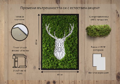 Obraz s machom Geometrický jeleň