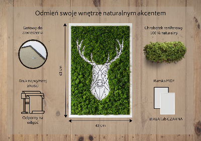 Obraz s machom Geometrický jeleň