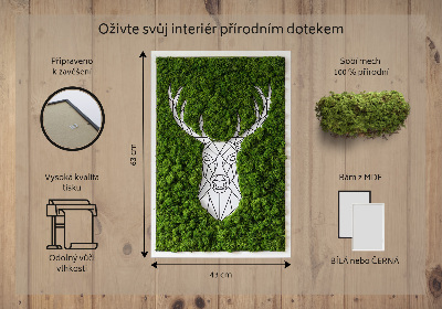 Obraz s machom Geometrický jeleň