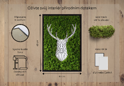 Obraz s machom Geometrický jeleň