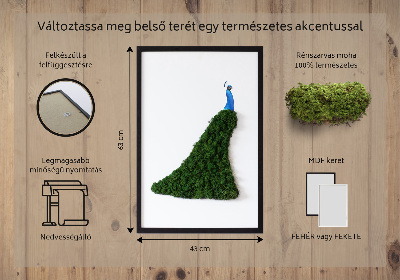 Machový obraz na stenu Páv