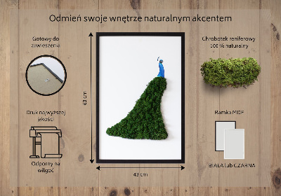 Machový obraz na stenu Páv