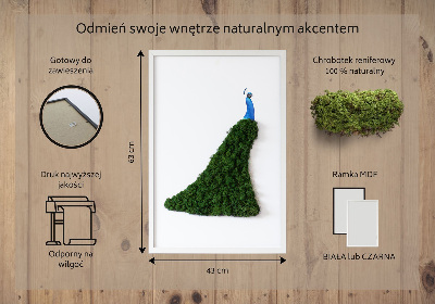 Machový obraz na stenu Páv