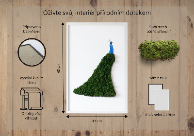 Machový obraz na stenu Páv