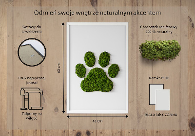 Machový obraz na stenu Labka