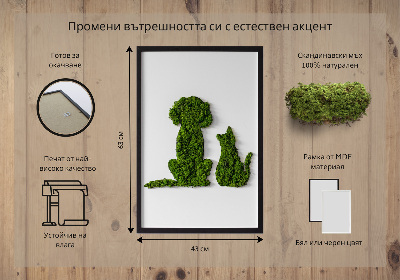 Obraz zo stabilizovaneho machu Pes s mačkou
