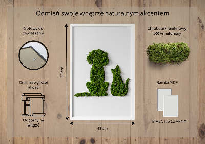 Obraz zo stabilizovaneho machu Pes s mačkou