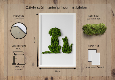 Obraz zo stabilizovaneho machu Pes s mačkou