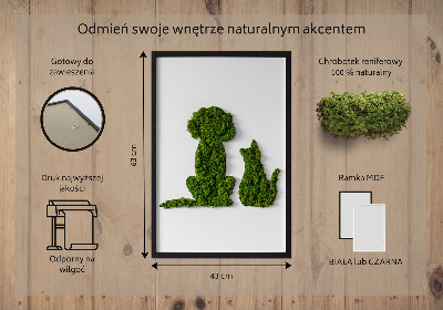 Obraz zo stabilizovaneho machu Pes s mačkou