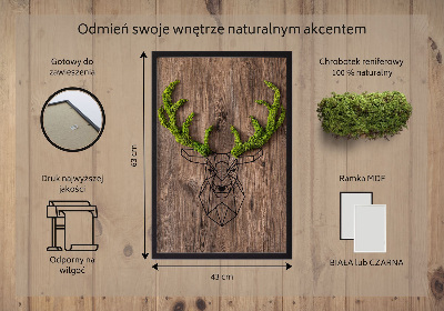 Obraz s machom Jeleň hlava na drevenom pozadí