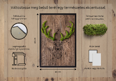 Obraz s machom Jeleň hlava na drevenom pozadí