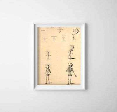 Poster Kostra Johna Fotherbyho