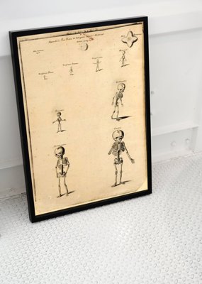 Poster Kostra Johna Fotherbyho