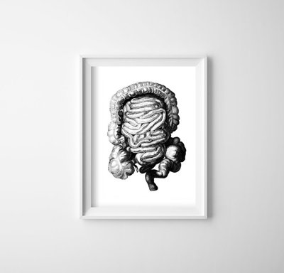 Plagát Anatomický odtlačok hrubého čreva