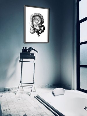 Plagát Anatomický odtlačok hrubého čreva
