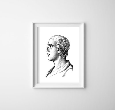 Poster Anatomické potlače na nose