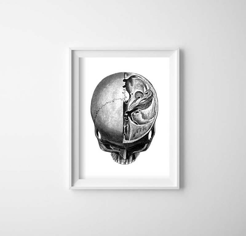 Retro plagát Anatomické odtlačky hlavy lebky