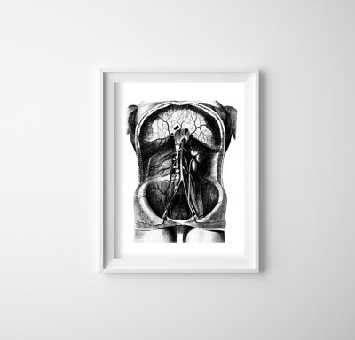 Poster na stenu Ilustrácia kostry