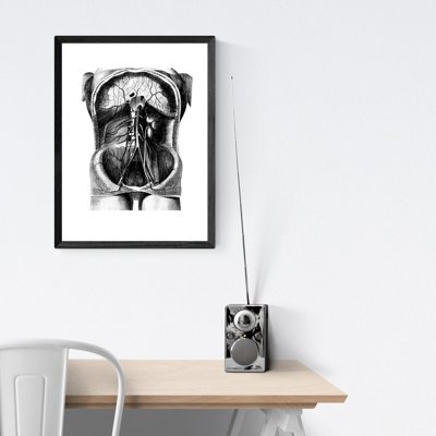 Poster na stenu Ilustrácia kostry