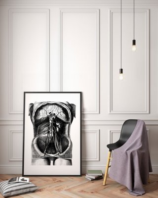 Poster na stenu Ilustrácia kostry