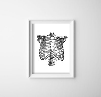 Plagát Anatomická kostra