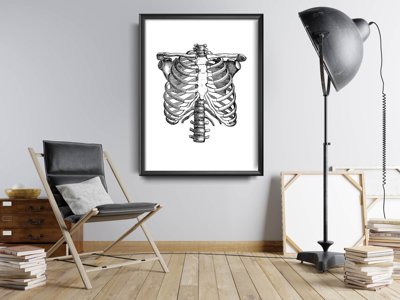 Plagát Anatomická kostra