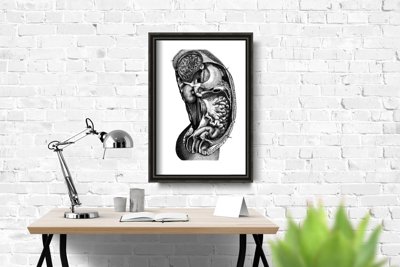Poster Anatomický interiér orgánu