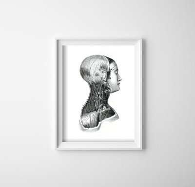 Poster Anatomické potlače na svaloch krku