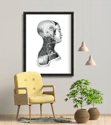 Poster Anatomické potlače na svaloch krku
