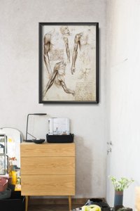 Poster Da Vinciho svaly hornej končatiny