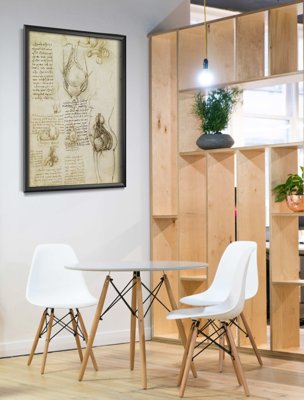 Plagát Da Vinci Print Mužský a ženský reprodukčný systém